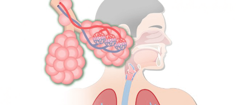 Alt Solunum Yolu Hastalıkları